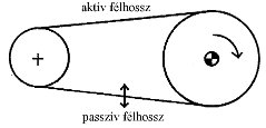 Machine Vibration Spectrum Analysis - Detecting Faults (2) - Occurrence of Belt Resonance (source: PIM)