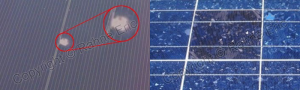 left: contamination under the film; right: different cell discoloration in polycrystalline modules